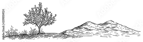 Foto Lone tree on a hill overlooking a mountain range in hand drawn line art style