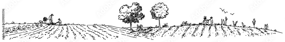 Obraz premium Agricultural landscape with farmers working in rows of cultivated fields in hand drawn panorama style