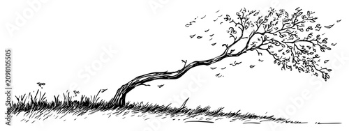 Schilderij op canvas Lone tree leaning in the wind with falling leaves in grassy field hand drawn ske