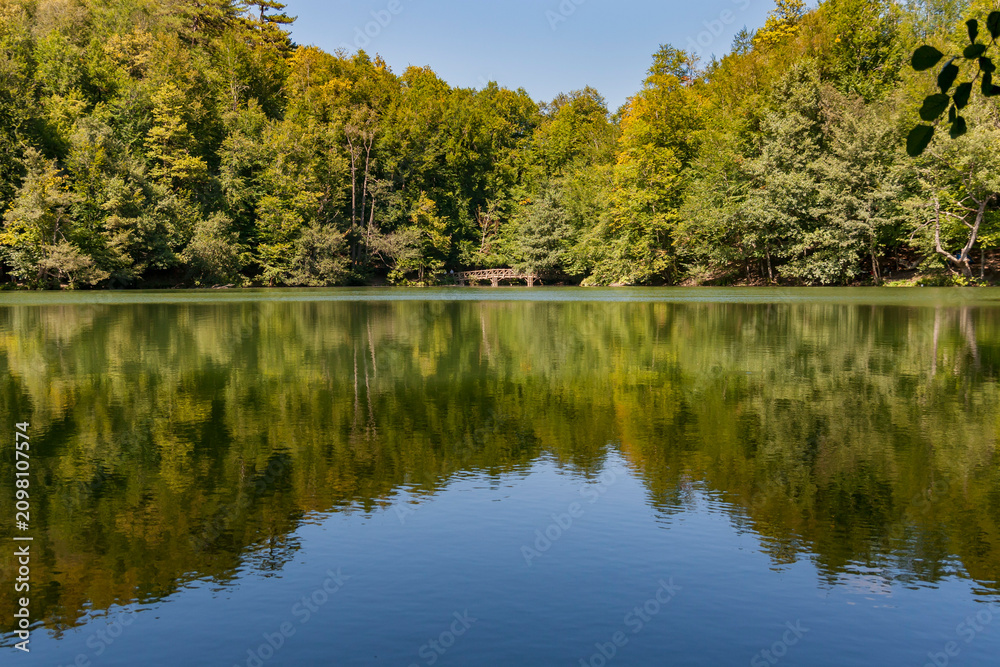 Fototapeta premium Tranquil forest lake with perfect reflection of lush green trees on calm water surface