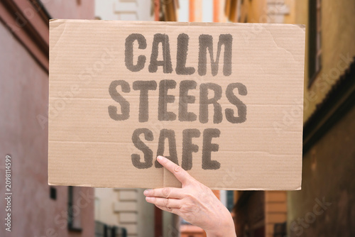 Fotografie "Calm Steers Safe" Composure helps control the car