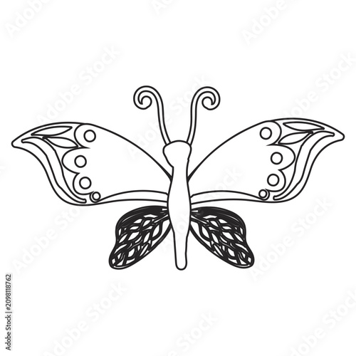 Butterfly in doodle style, linear drawing. Vector illustration isolated on white background.