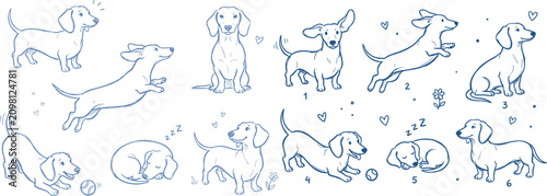 Dachshund dogs in various playful poses with cute doodles and hearts on a clean white background