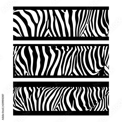 Konstfotografi Zebra pattern animal skin stripes background black and white safari wildlife tex