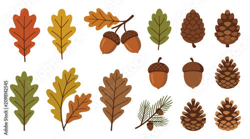 Autumn leaves acorns and pinecones vector set. Hand-drawn fall foliage and seed illustrations for seasonal designs.