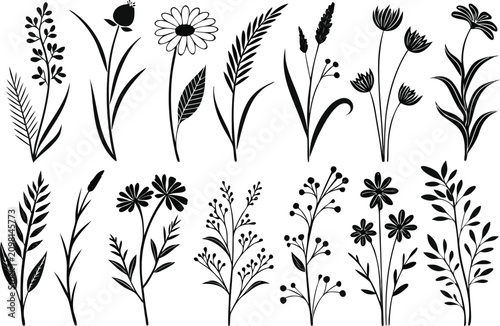 Black and white floral vector graphics