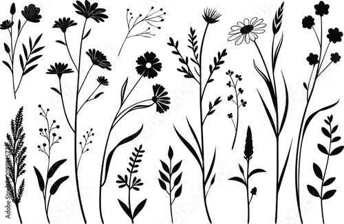 Black silhouette of various flowers and plants