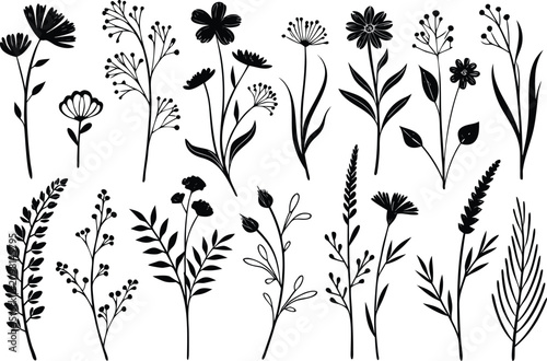 Black and white floral silhouettes
