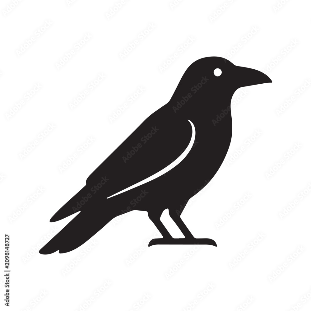 Fototapeta premium Black raven bird silhouette graphic with silhouette wildlife isolated feathers creature standing