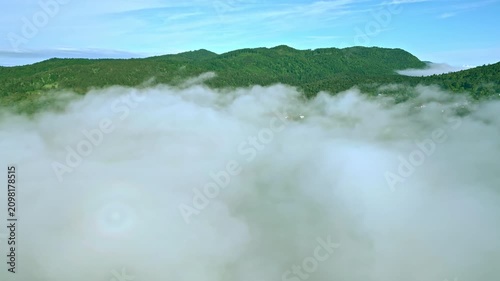 A serene landscape unfolds from an aerial view, revealing a vast forest blanketed by clouds and enveloped in ethereal mist, offering a moment of peace and connection with nature.