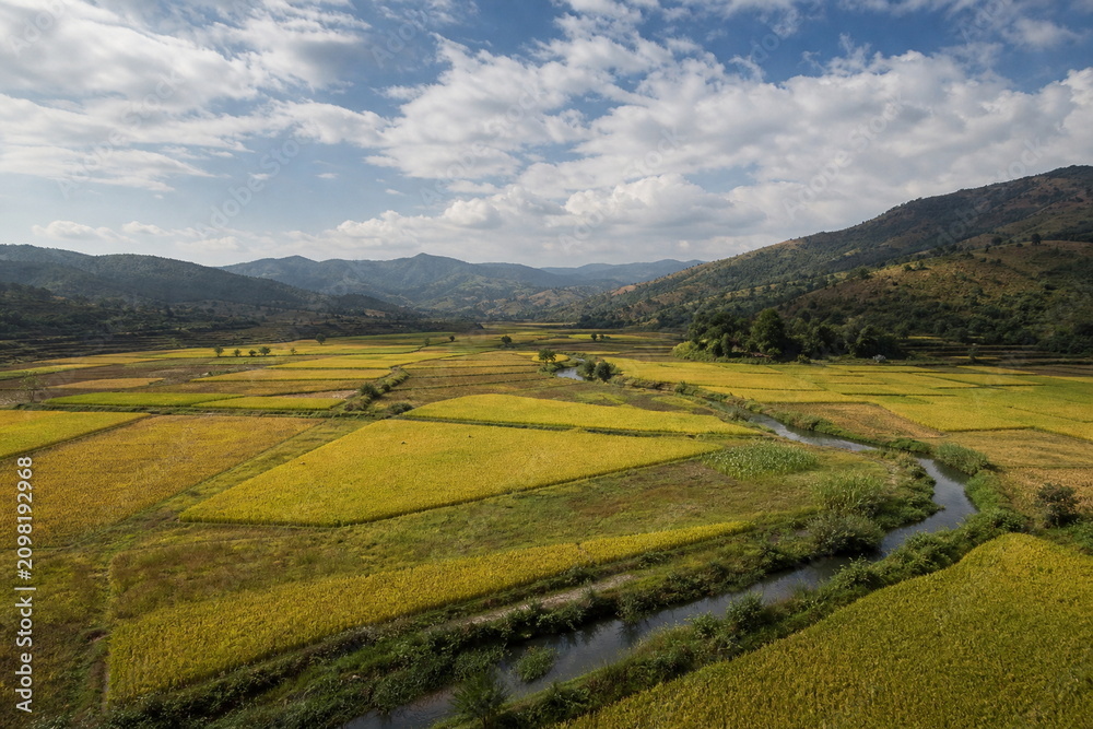 Obraz premium 広い稲田と用水路が広がる秋の山あいの風景