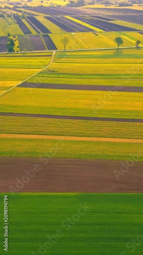 The aerial view captures a vast, golden landscape of sprawling fields under a clear sky, with a lone tree standing in a patch of green, offering tranquility amidst the endless scenery.