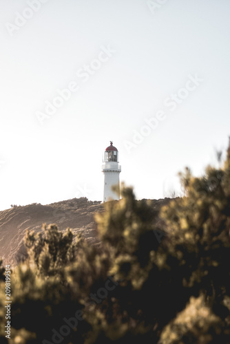 Bild auf Leinwand White lighthouse on coastal headland at golden hour framed by native shrubs