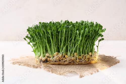 Fresh micro green on white grunge background  closeup