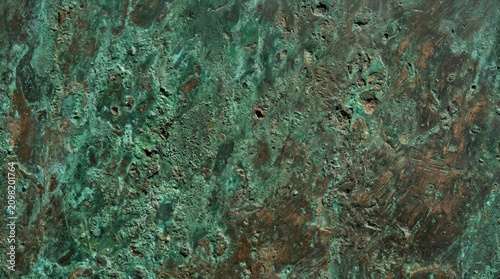 Close-up of Green Moss and Vegetation on Surface.