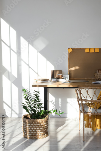 Workplace with houseplant, ...
