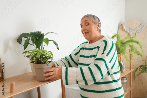 Senior gardener with plants on shelf at home
