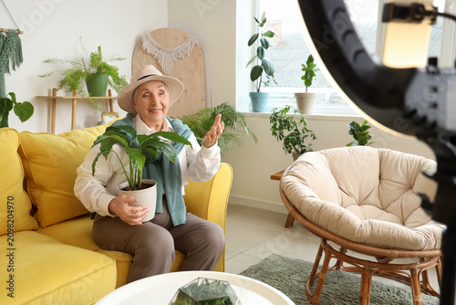Senior gardener with plant ...