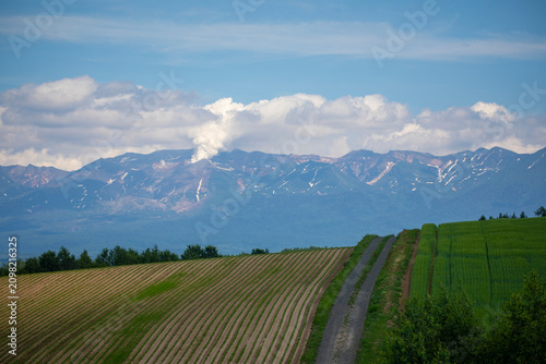 A sunny summer day in Furano, Hokkaido, Japan, in July