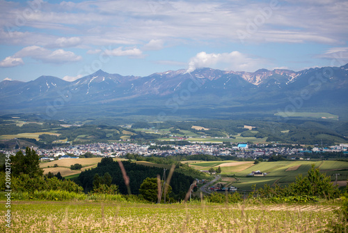 A sunny summer day in Furano, Hokkaido, Japan, in July
