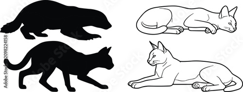 Canvas Print Wild Cat Silhouette and Outline Resting Walking Pose Vector Collection Isolated