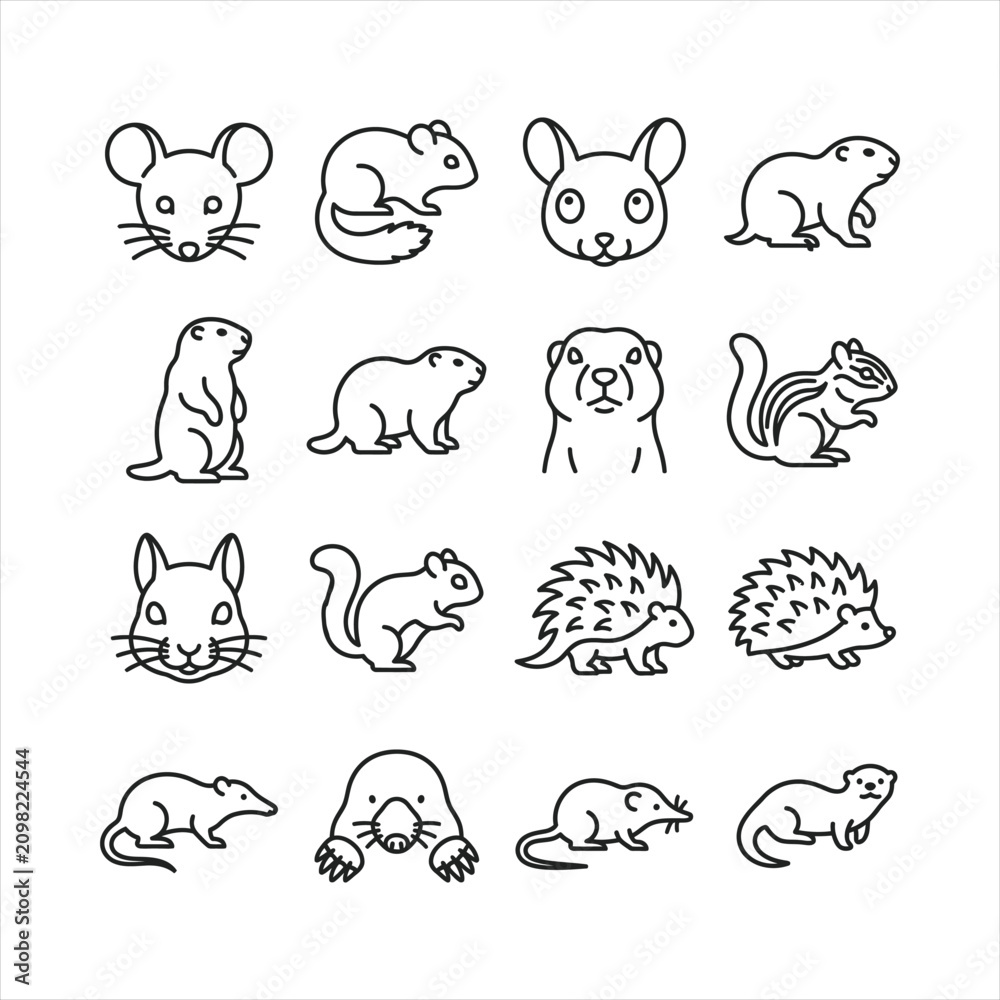 Obraz premium Vector line icons of sixteen small rodents and wild mammals
