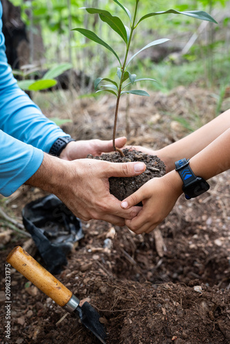 Fotografía Close up of ather and son's hands holding a green seedling with soil, preparing to plant it in the ground