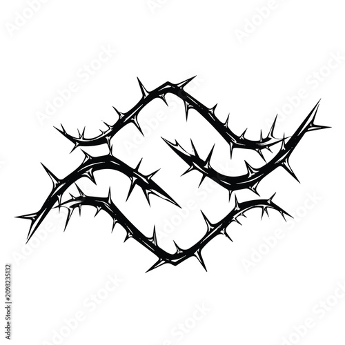 Thorn branches with sharp thorns.