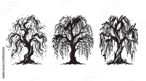 Three weeping willow trees featuring artistic ink splatters and drooping foliage rendered in a bold style on graffiti white background