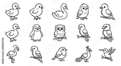 Canvastavla Cute bird icons set, 15 cartoon animal line art vectors, coloring book page for