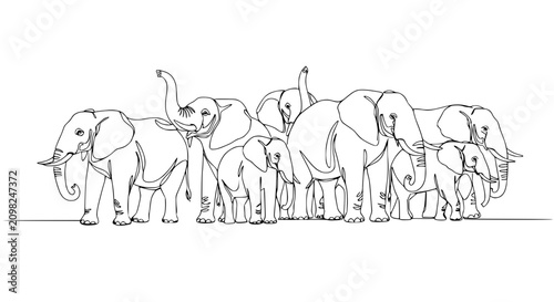 Fotografie Herd of Elephants Continuous Line Drawing