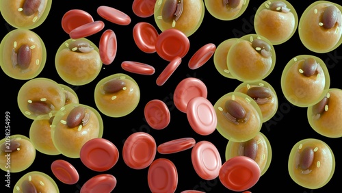 Foto A 3d rendering of erythrocytes and adipose or lipid cells