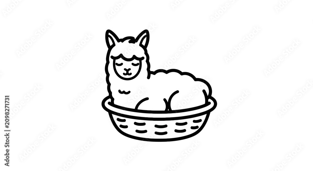 Fototapeta premium Fluffy white alpaca resting in a woven basket.