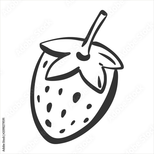 Vector sketch of a strawberry. Hand drawn. A quick black ink sketch of this summer berry. Clipart for a label, juice, or jam logo. Rough, careless brushwork.