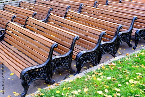 A row of park benches with warm brown wooden slats and ornate black cast-iron legs, arranged side by side on a paved surface bordering a green lawn scattered with yellow autumn leaves
