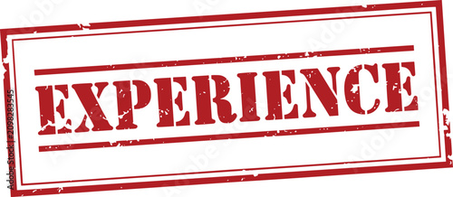 Experience red rubber stamp with horizontal lines on white background, promoting skill and expertise