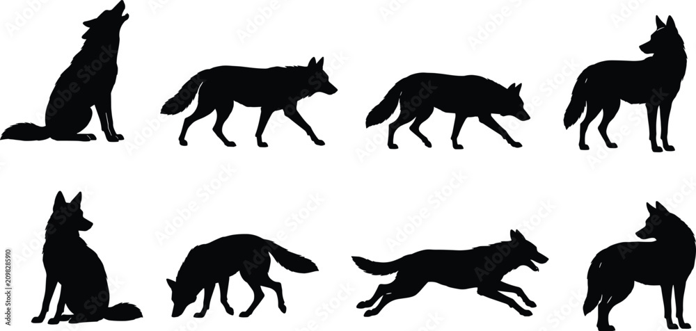 Obraz premium Set of Wolf Silhouettes in Various Natural Poses Including Howling, Walking, and Running