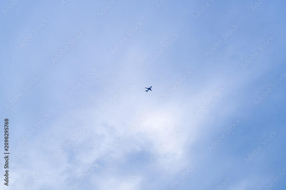 Fototapeta premium 曇り空を飛ぶ旅客機