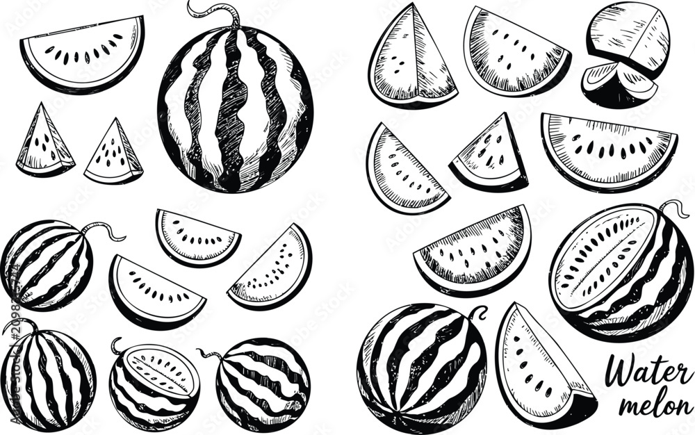 Obraz premium Rustic hand drawn black and white watermelon illustration collection with diverse cuts and whole fruit