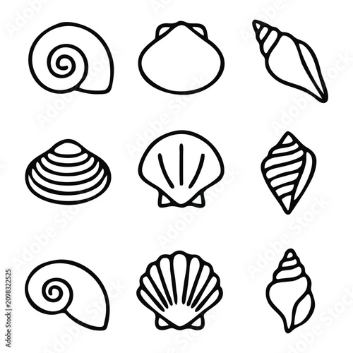 kerang icon in a modern minimalist vector style, depicted in a flat scalable illustration for technology and web development applications