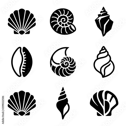 Collection of diverse aquatic seashells and ocean treasures presented as distinct graphic representations forming a mosaic of marine life forms on a neutral surface showing natural patterns and