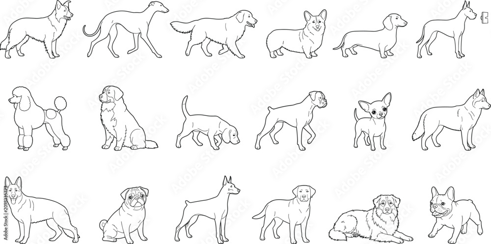 Obraz premium Hand Drawn Dog Breeds Collection Line Art Vector Set with Popular Domestic Canine Illustrations