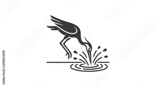 Fotografía Black bird drinking from water.