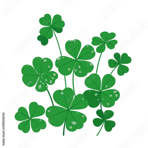 Fresh green four leaf clovers with water droplets isolated on white background