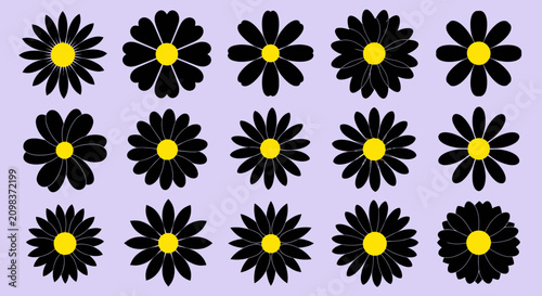 Photos Vector collection of various daisy flower illustrations featuring white petals a
