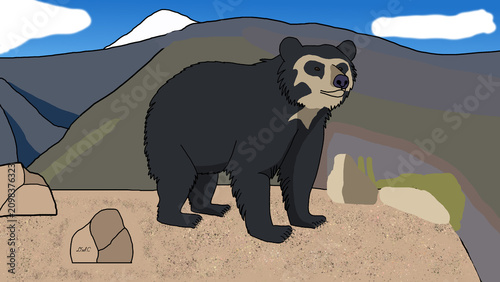 Foto Spectacled bear of Machu Picchu