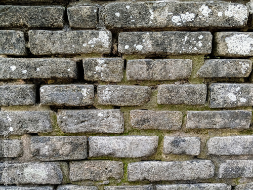 Weathered Ancient Brick Wall Texture with Moss and Lichen