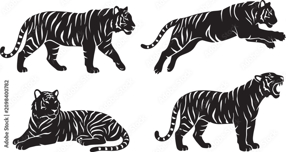Obraz premium Tiger Silhouette Set Collection – Walking, Jumping, Resting and Roaring Wild Big Cat Black Vector Isolated on White Background