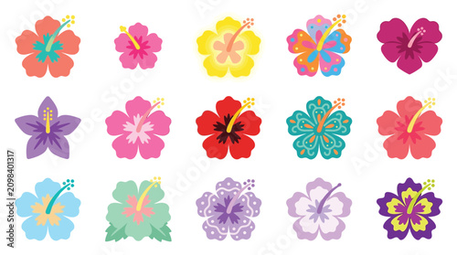 Collection of colorful hibiscus flowers in various shades and styles, isolated on a white background.