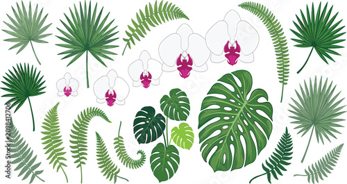 Bild auf Leinwand PrintTropical leaves and white orchid flowers vector set isolated on white backg